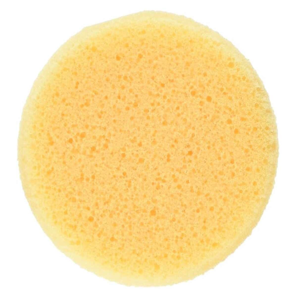 2 Pack Sponges